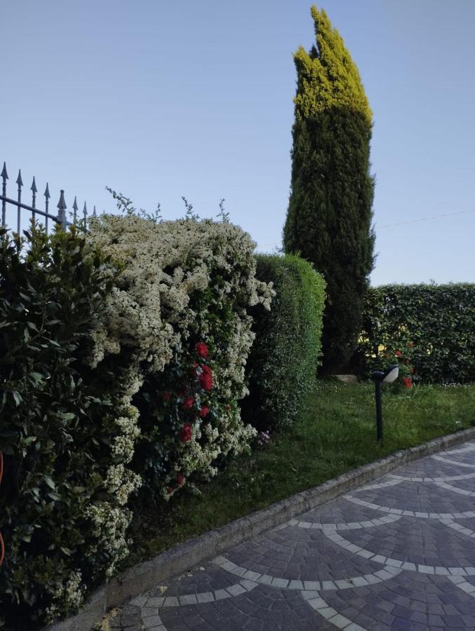 Castel del Bosco  Melody House - Dependanceヴィラ エクステリア 写真